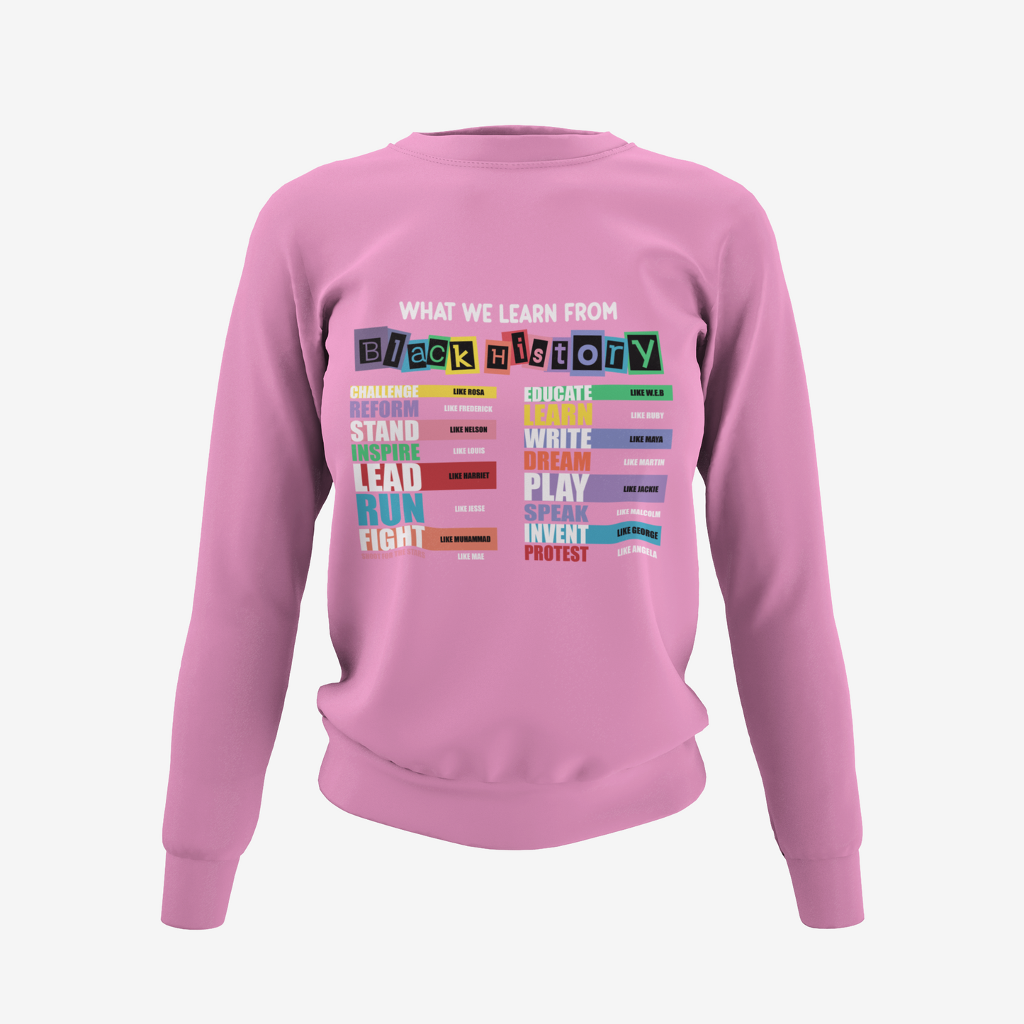 What We Learned - Black History T-Shirt, Hoodie & Sweater