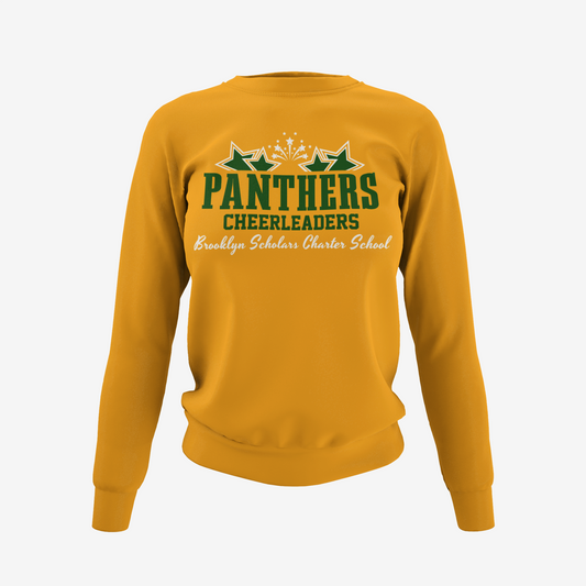 BSCS Cheerleading T-Shirt, Hoodie & Sweater